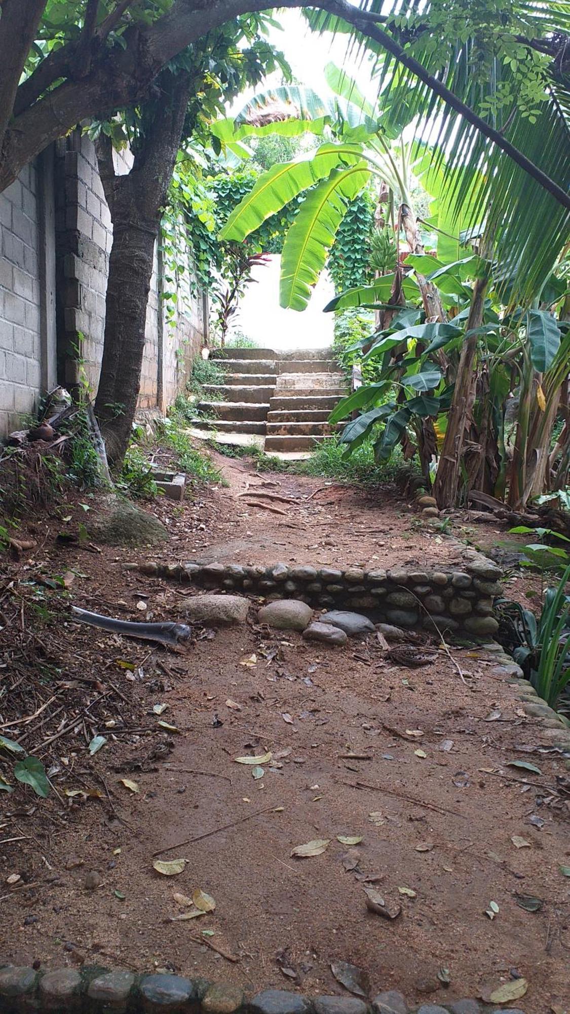 Sierra Tayrona Hostel El Zaino Buitenkant foto