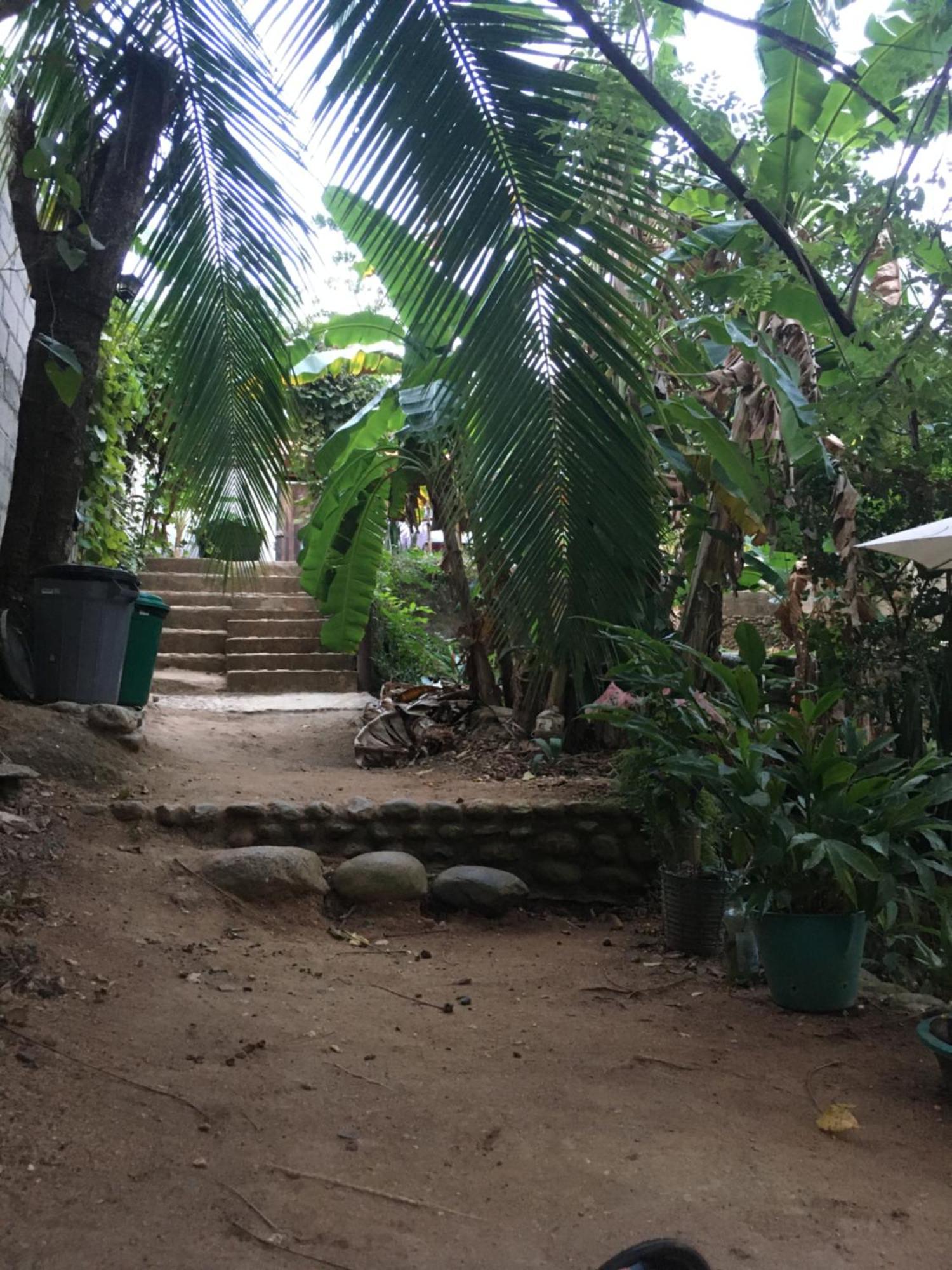 Sierra Tayrona Hostel El Zaino Buitenkant foto